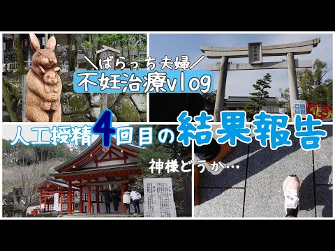 【不妊治療】子宝祈願/厄除け祈願/パワースポット/お出掛けvlog/人工授精後の体調/ルトラール/排卵検査薬の表/今週期の振り返り/掛かった費用/ヨーグルト手作りで腸活◎コスパ◎/1人目妊活中