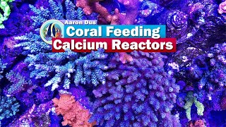 Calcium Reactors and Coral feeding with Aaron Dus