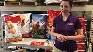 Chicken Talk with Purina