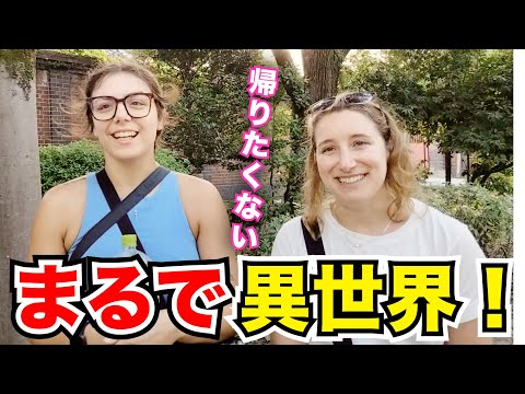 「日本に恋した…帰りたくない！」外国人観光客にインタビュー｜ようこそ日本へ！Welcome to Japan!