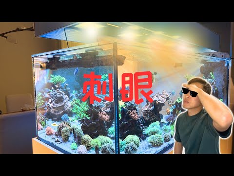 海缸灯刺眼问题解决方案 | DIY遮光板