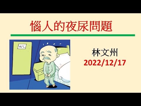 惱人的夜尿問題－林文州20221217