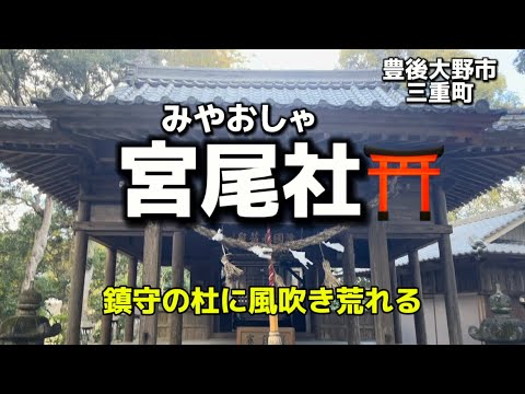 大分名所67  豊後大野市三重町　宮尾社⛩ 鎮守の杜に風吹き荒れる✨