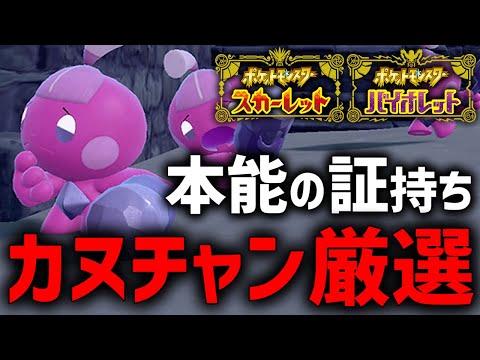 【今だけ】『色違い』かつ『本能の証持ち』カヌチャンが乱獲できるらしいぞ...！！【ポケモンSV】