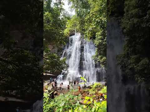 sirimane falls, sringeri.          #sirimanefalls #chikmagalur #chikmagalore #sirimanefalls #nature