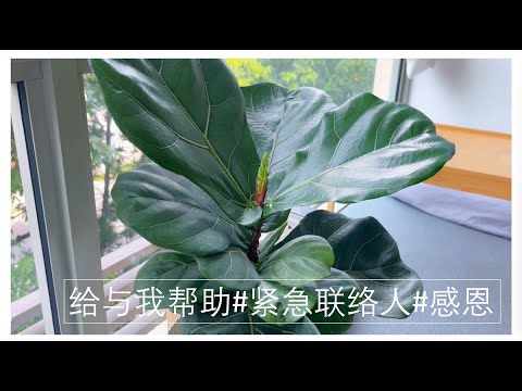 给与我帮助#紧急联络人#感恩