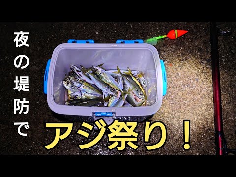 夜の堤防でサビキを投げたらアジのアタリが止まらない！