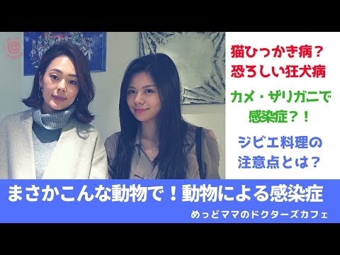 こんな動物で⁉動物由来の感染症(めっどママ#34)