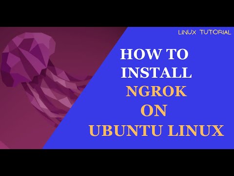 How to Download and Enable Ngrok on Ubuntu Linux