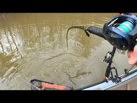 This Flooded Backwater Has GIANT FISH!! (Big Baits)