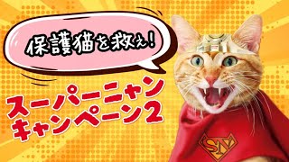 保護猫を救え！コメリ『スーパーニャンキャンペーン２』（みゃお篇）