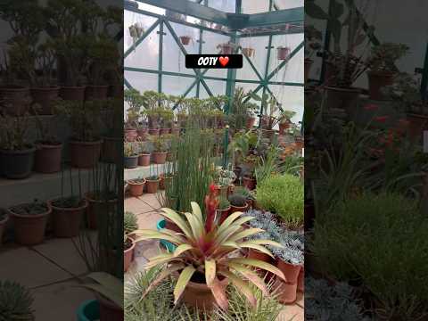 Botanic garden #dailyvlog #minivlog family traveller Tamil Vlogs America #tamilshorts #shortsfeed