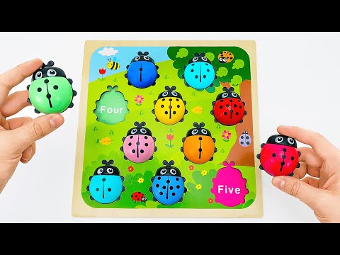 Learn Numbers with Miraculous Ladybug Puzzle | Count 1 to 10 | Preschool Toddler Toy Learning Video