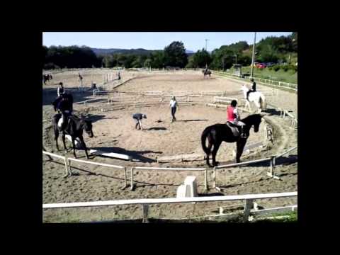 Horseback Riding Lessons - Oct. 13, 2013