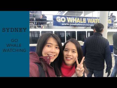 SYDNEY GO WHALE WATCHING