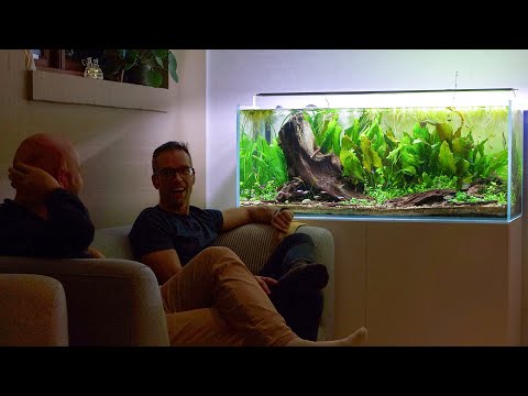 ** EXCLUSIVE ** The GF Podcast Resumes after 2.5 years with David Nørholm Biotope Aquascaper (4K)