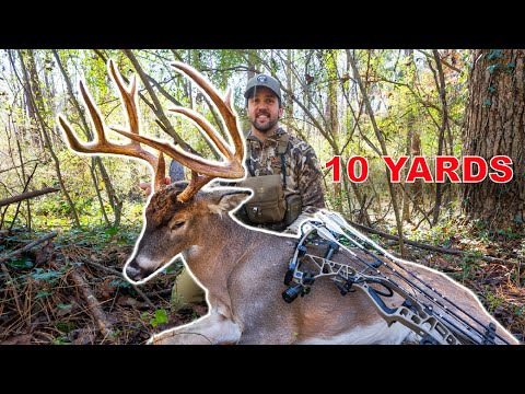 10 YARD Shot From GROUND!! Urban GIANT!