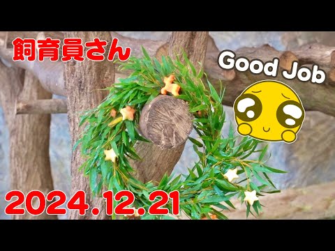 🐼【パンダ速報】手作りリースは誰の手に⁉️浜家のほっこりクリスマス🎅🎄