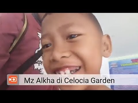 Celocia Garden,Bandungan Libur Lebaran Mz Alkha Sekeluarga