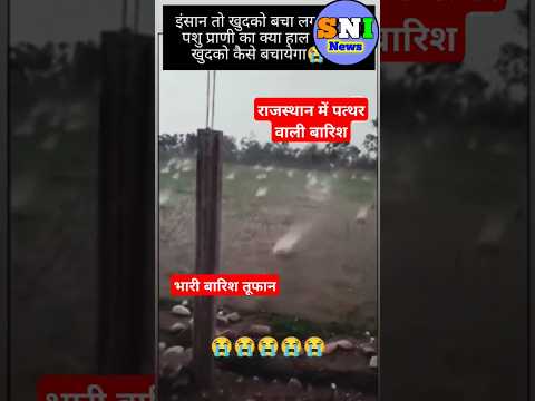 राजस्थान में पत्थर वाली बारिश#Stone_rainfall#rainfall#barish#tufan#water#rajshthan_barish#shorts