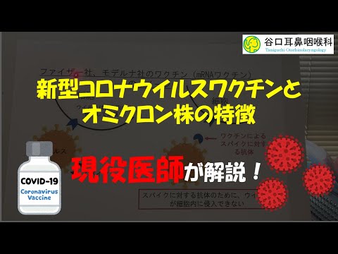 【現役医師が解説】新型コロナウイルスのワクチンの仕組み、流行のオミクロン株について解説！