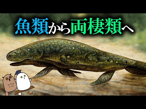 【ゆっくり解説】脊椎動物の上陸：空気と肢と重力【 進化論 / 古生物 / 科学/ 生命の歴史⑬】