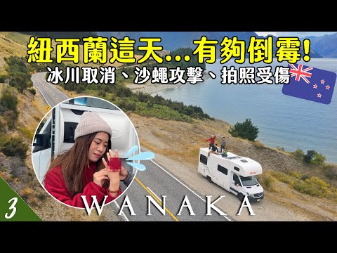 【🇳🇿紐西蘭露營車EP3】超倒霉🥺小心紐西蘭最惡毒的沙蠅！FOX冰川取消了怎麼辦？拍個照也能受傷... | Wanaka瓦納卡 | Cromwell | Arrowtown | Hoiching愷晴