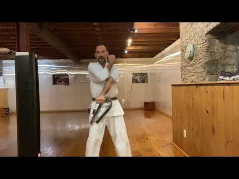 Richard Amos - 15-minute basic beginner's karate class 初心者の基本練習