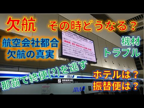 欠航　機材トラブルで那覇から出れない！？会社都合欠航時のホテル、交通費の保証、当日の流れを解説！SFC修行時に遭遇しました