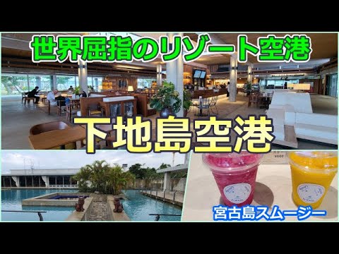 美味しいスムージーやカクテルも飲めちゃう空港紹介🍹