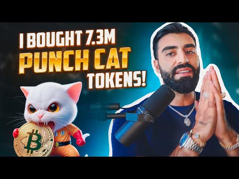 I BOUGHT 7.3M PUNCH CAT TOKENS AND THIS HAPPENED?! THE NEXT 100M MARKET CAP PROJECT ON SOLANA?!