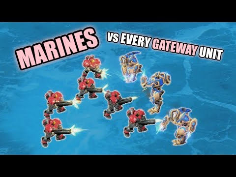 100 Marines vs EVERY GATEWAY UNIT