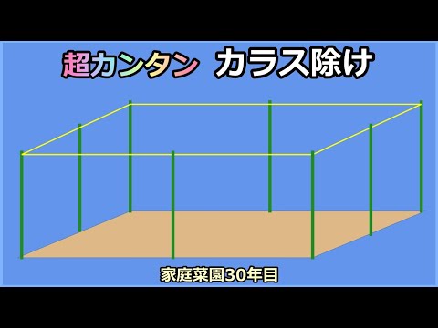 【超簡単カラス対策 何故か効果抜群】家庭菜園30年目