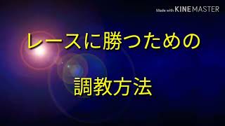 スターホース  プログレス・リターンズ：レースに勝つための調教方法！！