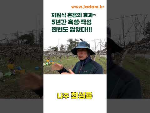 자닮식 혼용 5년,  흑성·적성 한번도 없었다!!