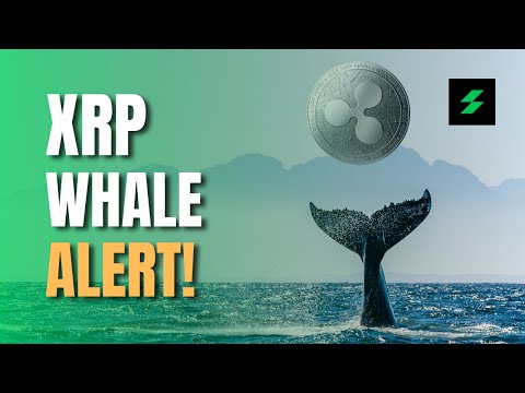 XRP Whale Alert! BTC, ETH, DOT, CHZ Analysis