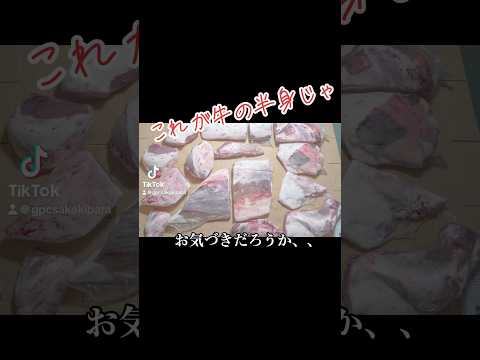 肉の半身みたことある？俺らが見せてやるよ。まだまだすごい動画あるから待っとけ #肉職人 # #beef #牛 #牛図鑑