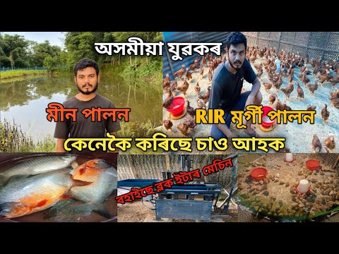 অসমীয়া যুৱকে মীন পালন আৰু RIR মূৰ্গী পালন কেনেকৈ কৰিছে চাও আহক।Min palon business plan/Murgi palon