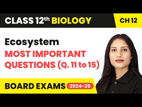 Ecosystem - Most Important Questions (Que. 11 to 15) | Class 12 Biology Chapter 12 | CBSE 2024-25