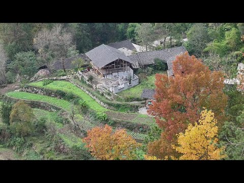 一家人隐居世外桃园，今天迎来了山里久违的好天气，阳光明媚