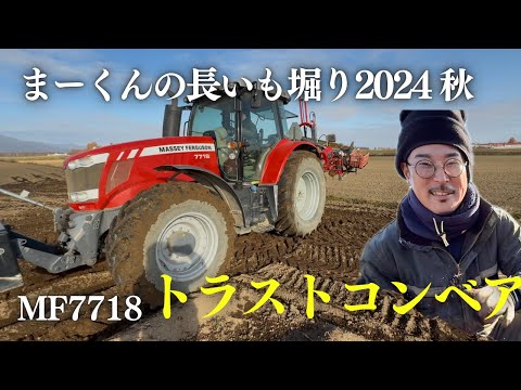 まーくんの長いも収穫2024 マッセイファーガソン7718 トラスト