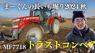 まーくんの長いも収穫2024 マッセイファーガソン7718 トラスト