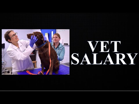 Veterinarian Salary 2022 | South Africa