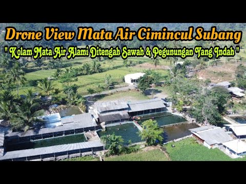 Drone View Wisata Mata Air Cimincul Subang