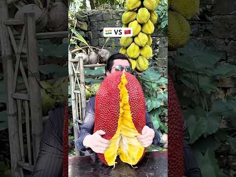 🇮🇳 VS 🇨🇳 Fruit !