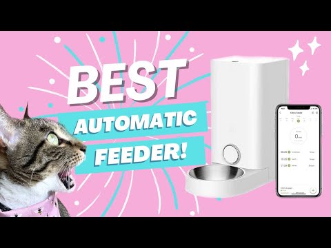 Best Automatic Feeder! | Petkit Mini Automatic Cat Feeder