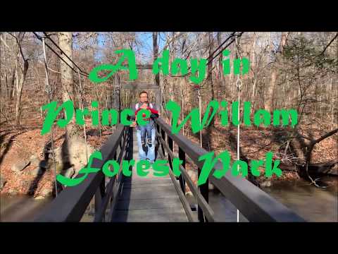 Family Hike in Prince William Forest Park | National Park Pass Perks