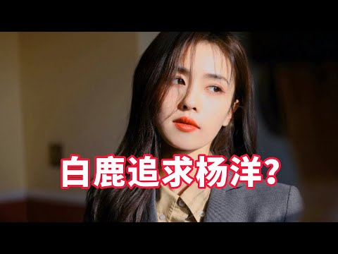 【星咖娱乐秀】白鹿杨洋要合作新剧 剧组夫妻板上钉钉？