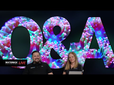 LIVE Q&A.  Episode #198