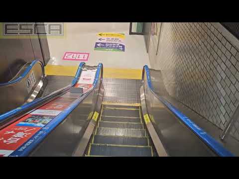 Sendai Station, Platform 11 & 12, Escalator Down